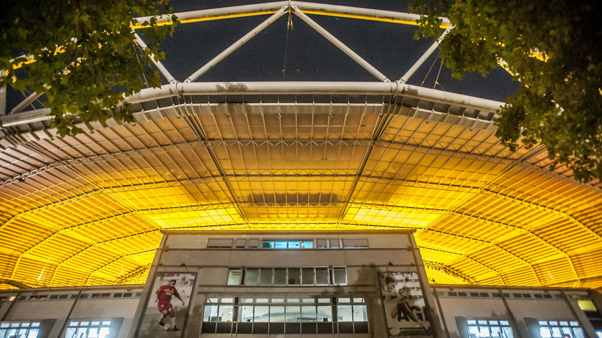 Bay-Arena: Bayer 04 lässt nachts den Rasen mit Wachstumslampen bestrahlen, das gelbe Streulicht zeigt es.