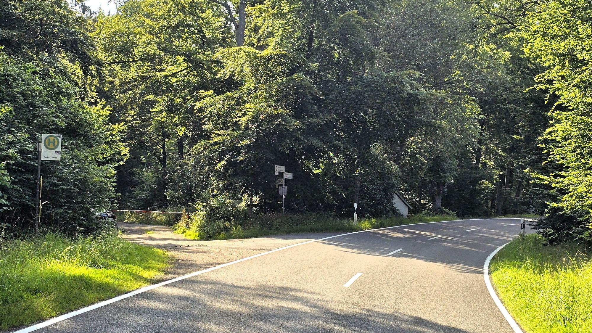 Nur wenige Meter von der bekannten Waldkapelle Decke Tönnes zwischen Effelsberg und Bad Münstereifel entfernt, stehen auf der linken und rechten Seite kaum sichtbare Bushalteschilder. In der Mitte verläuft eine Landstraße.
