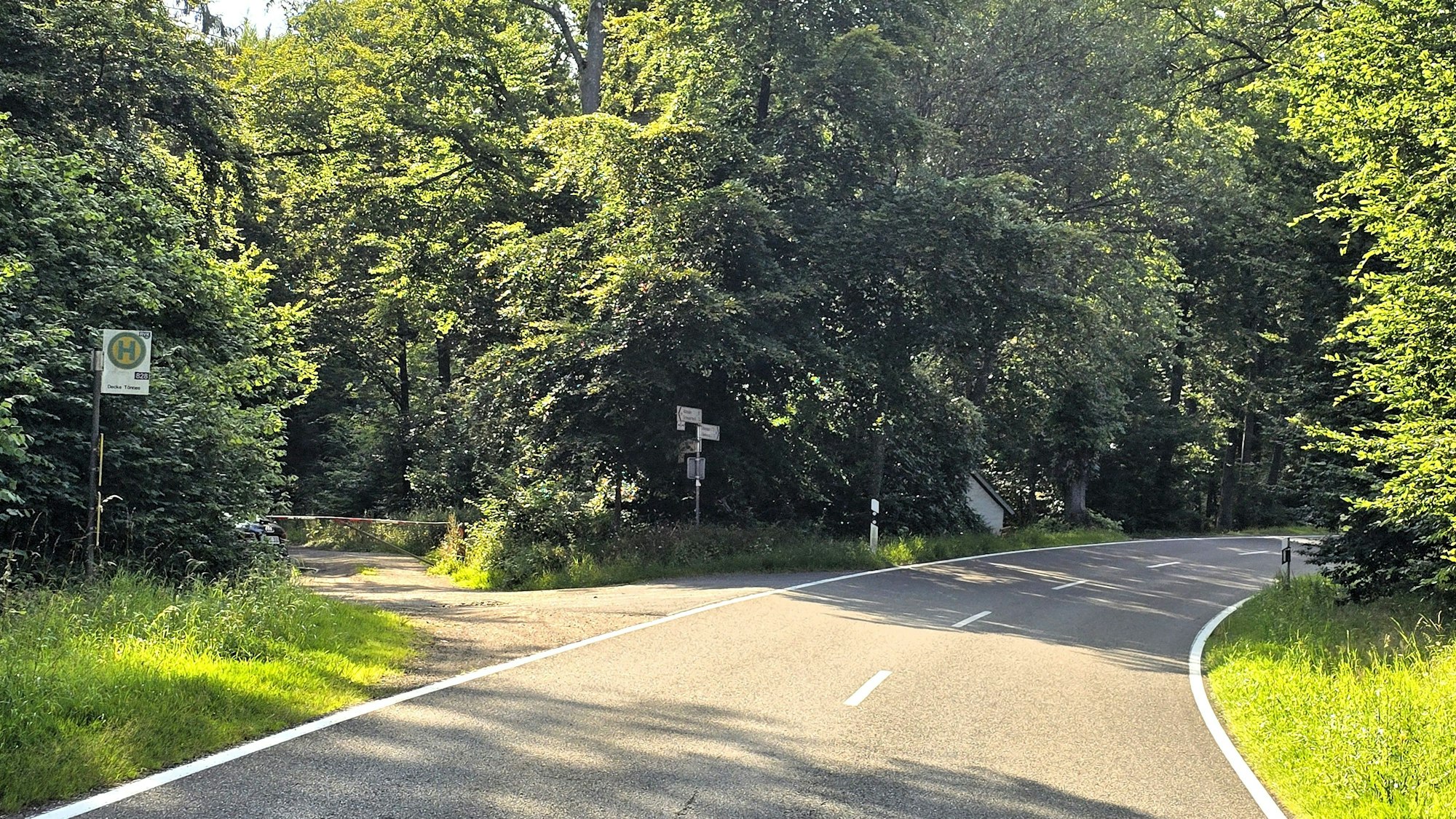Nur wenige Meter von der bekannten Waldkapelle Decke Tönnes zwischen Effelsberg und Bad Münstereifel entfernt, stehen auf der linken und rechten Seite kaum sichtbare Bushalteschilder. In der Mitte verläuft eine Landstraße.