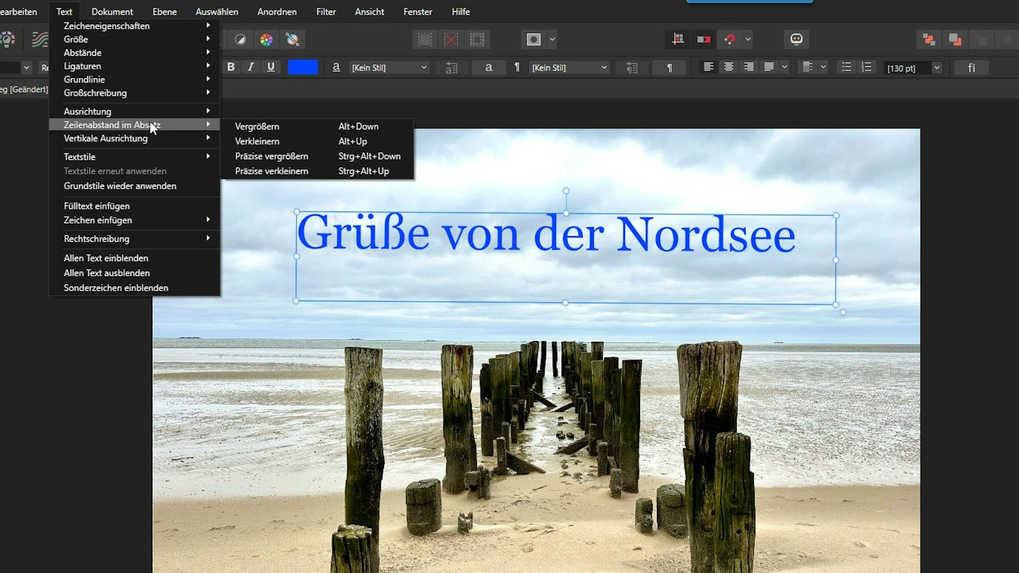 Zu sehen ist ein Screenshot von einem geöffneten Bildbearbeitungsprogramm.