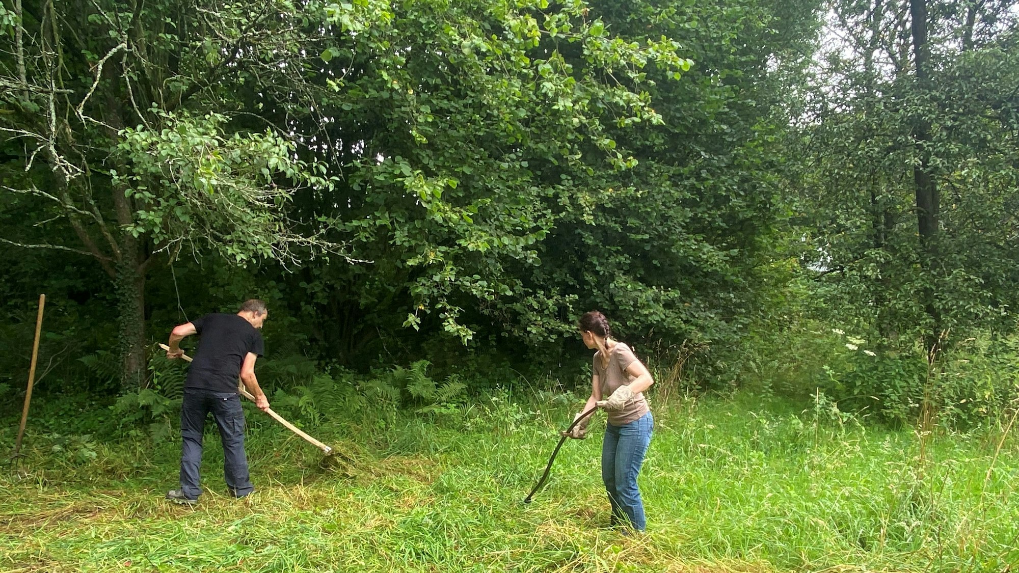 Leverkusener Naturschützer bringen eine Streuobstwiese wieder auf Vordermann