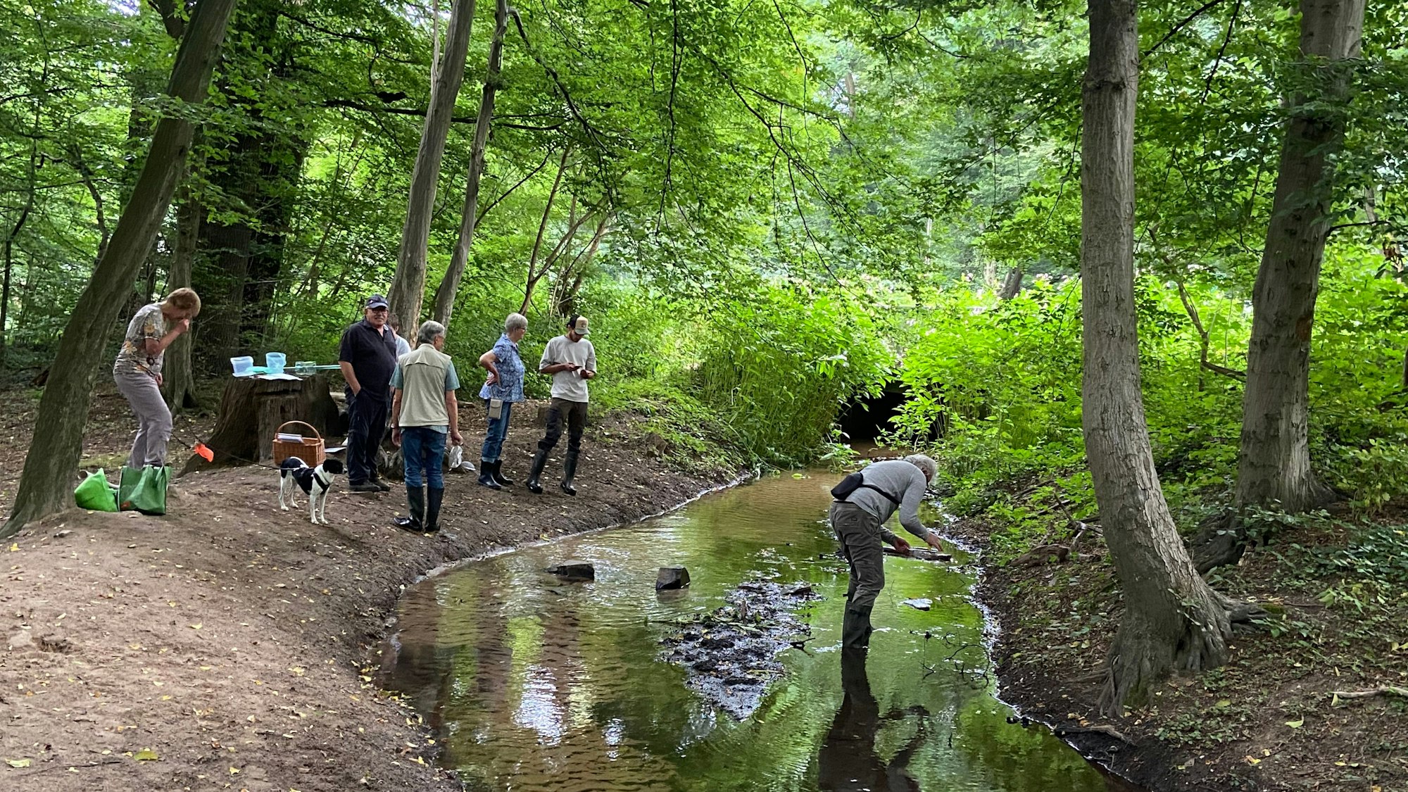 Eine Gruppe Menschen arbeitet an einem Bach