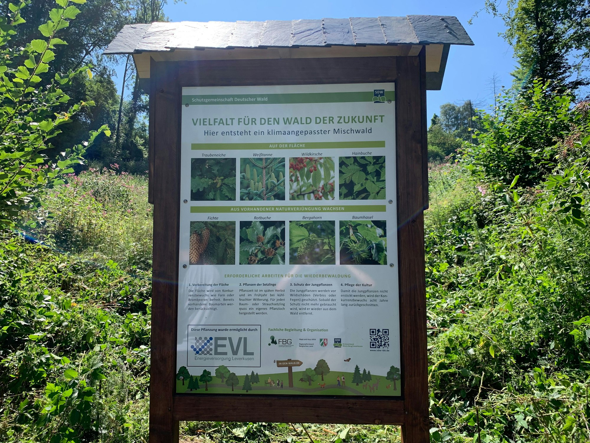 Die neue Tafel informiert seit dem vergangenen Montag über das Mischwaldaufforstungsprojekt.