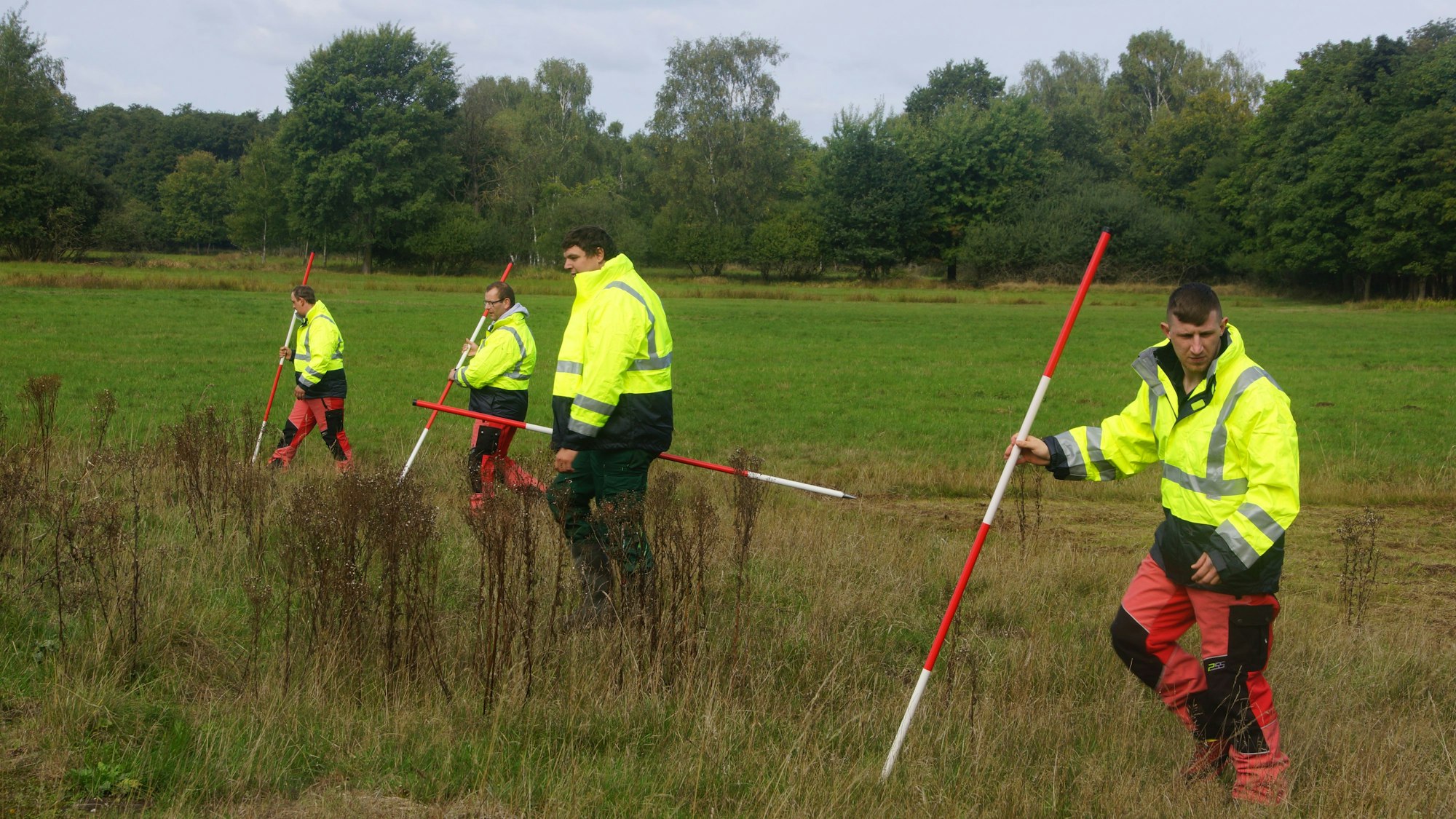 Die Wildtierseuchen-Vorsorge GmbH trainiert für den Fall, dass die Schweinepest ausbricht.