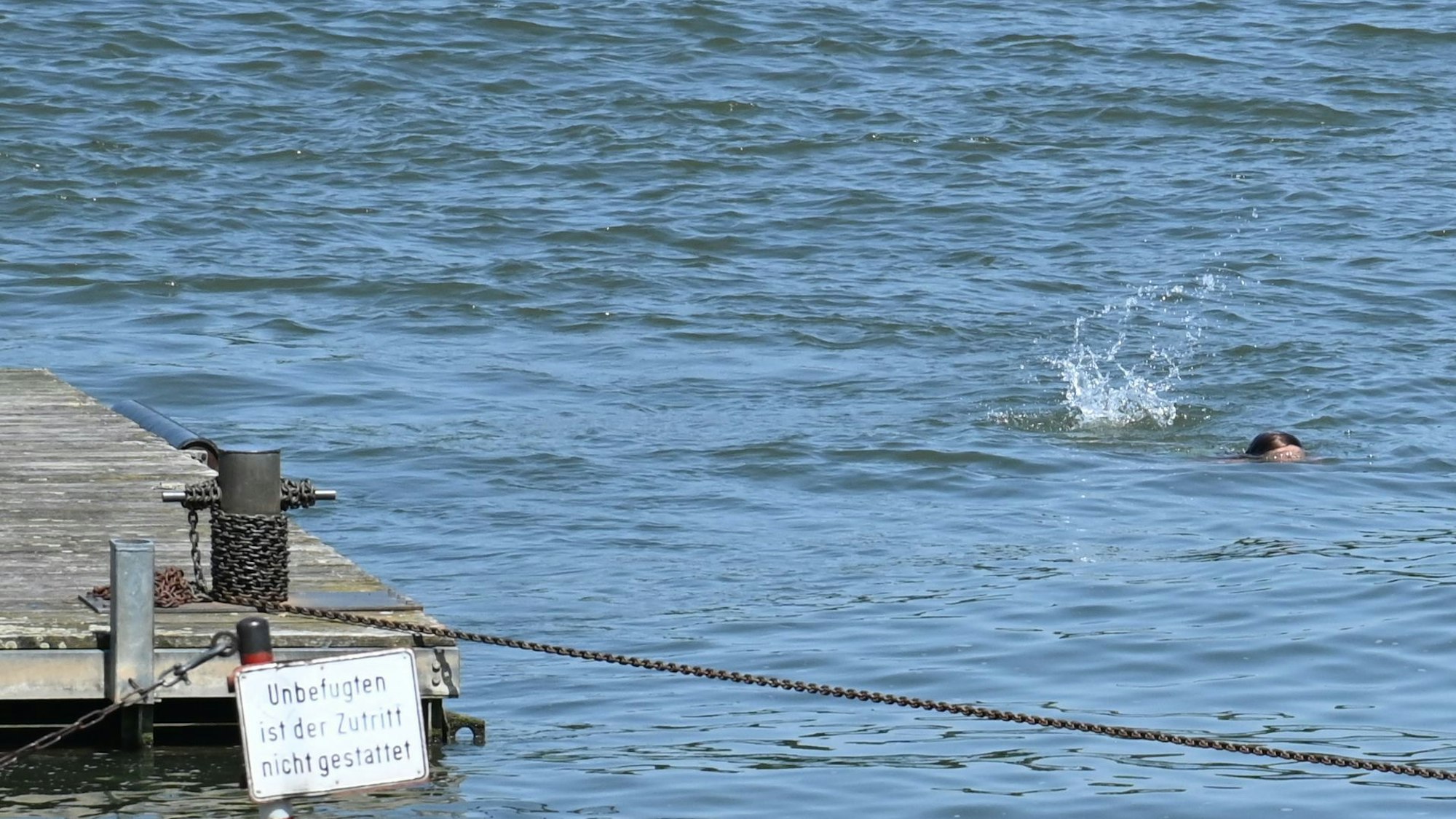 Ein Kind taucht im Wasser am Rheinufer in Rodenkirchen.