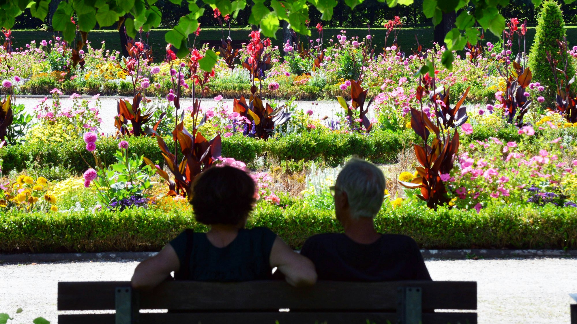 Menschen sitzen im Schatten in einem Park.