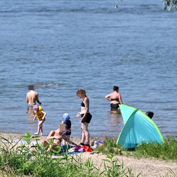 Das Schwimmen im Rhein gilt als lebensgefährlich. Trotzdem wagen sich viele in Rodenkirchen ins Wasser.