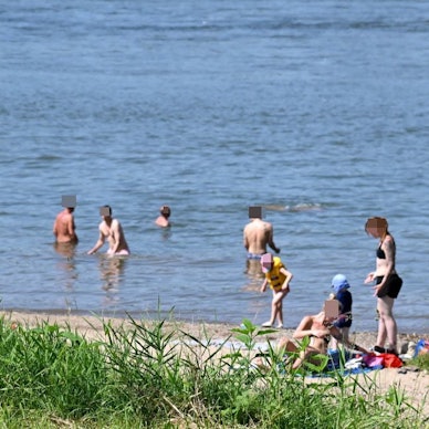 Das Schwimmen im Rhein gilt als lebensgefährlich. Trotzdem wagen sich viele in Rodenkirchen ins Wasser.