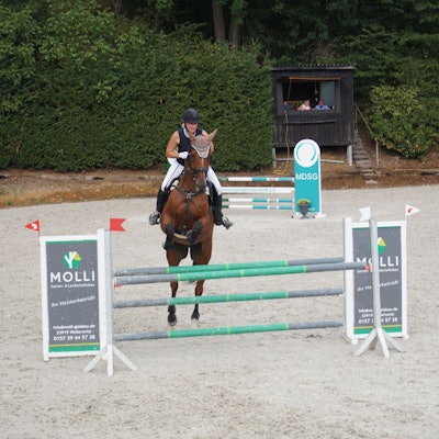 Ein Pferd springt über ein Hindnis.