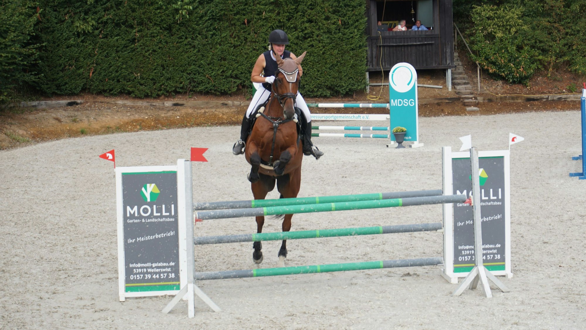 Ein Pferd springt über ein Hindnis.