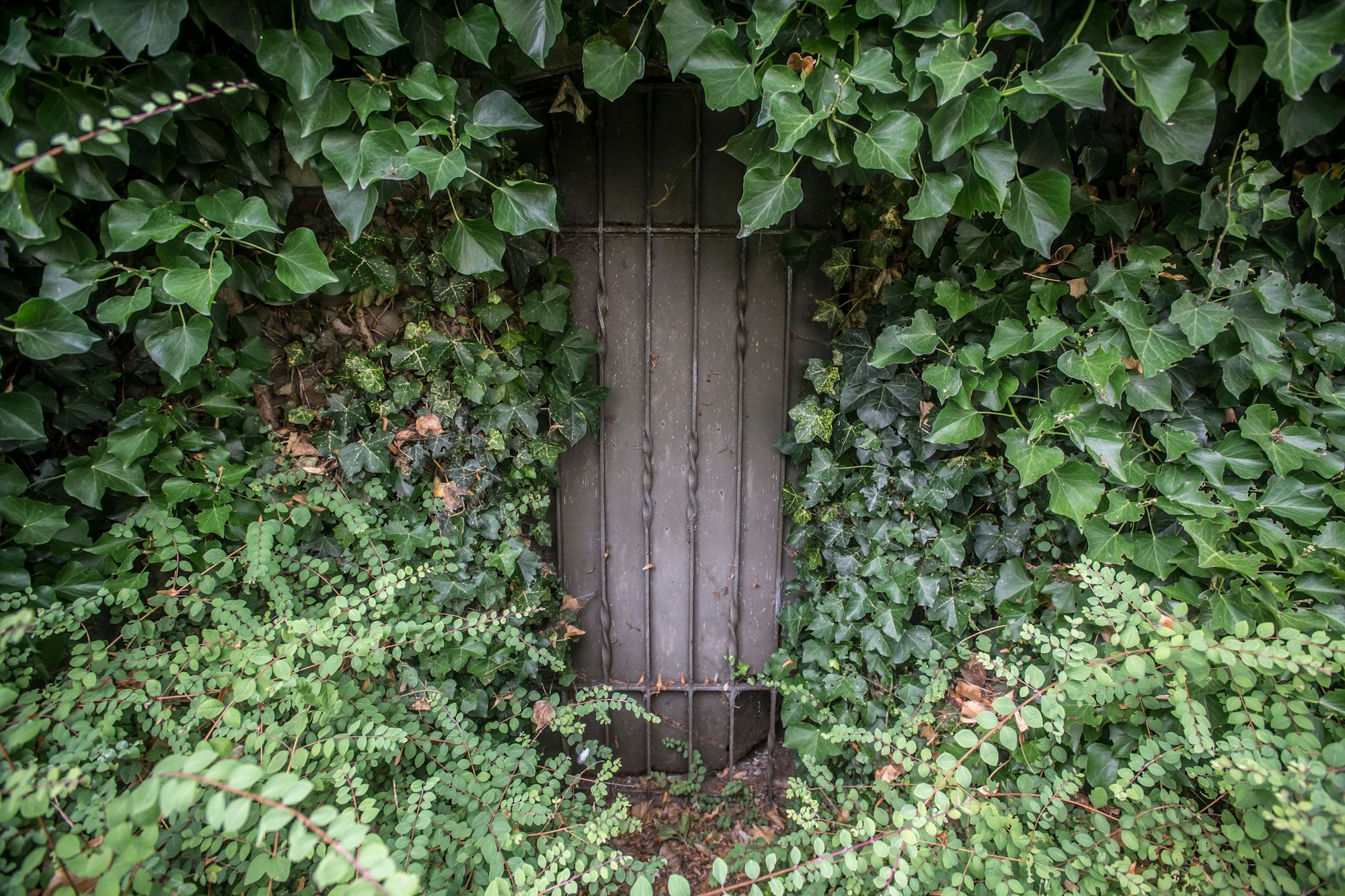 Die heute sichtbare Tür zum Bunker am Kaiserplatz Wiesdorf.