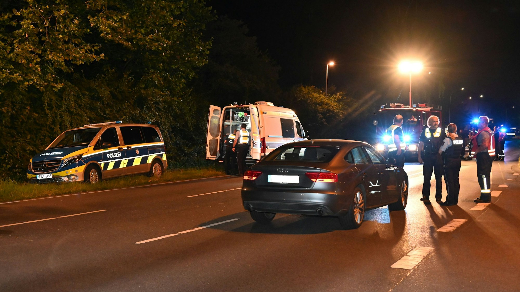 Zu sehen ist eine Unfallstelle mit Polizeifahrzeugen in der Dunkelheit.