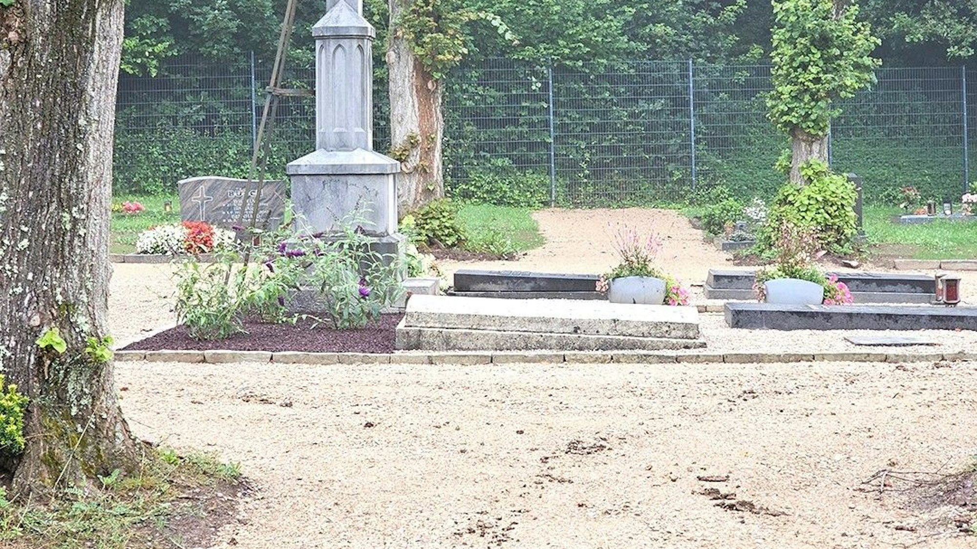 Rund um die Priestergräberanlage sind Fahrspuren zu sehen.