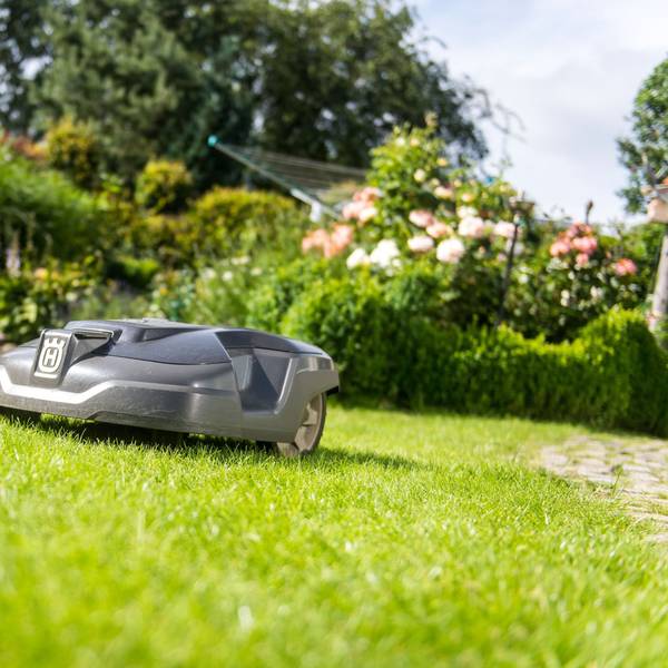 Mähroboter stellen eine Gefahr für Igel und weitere Wildtiere dar. (Symbolbild)
