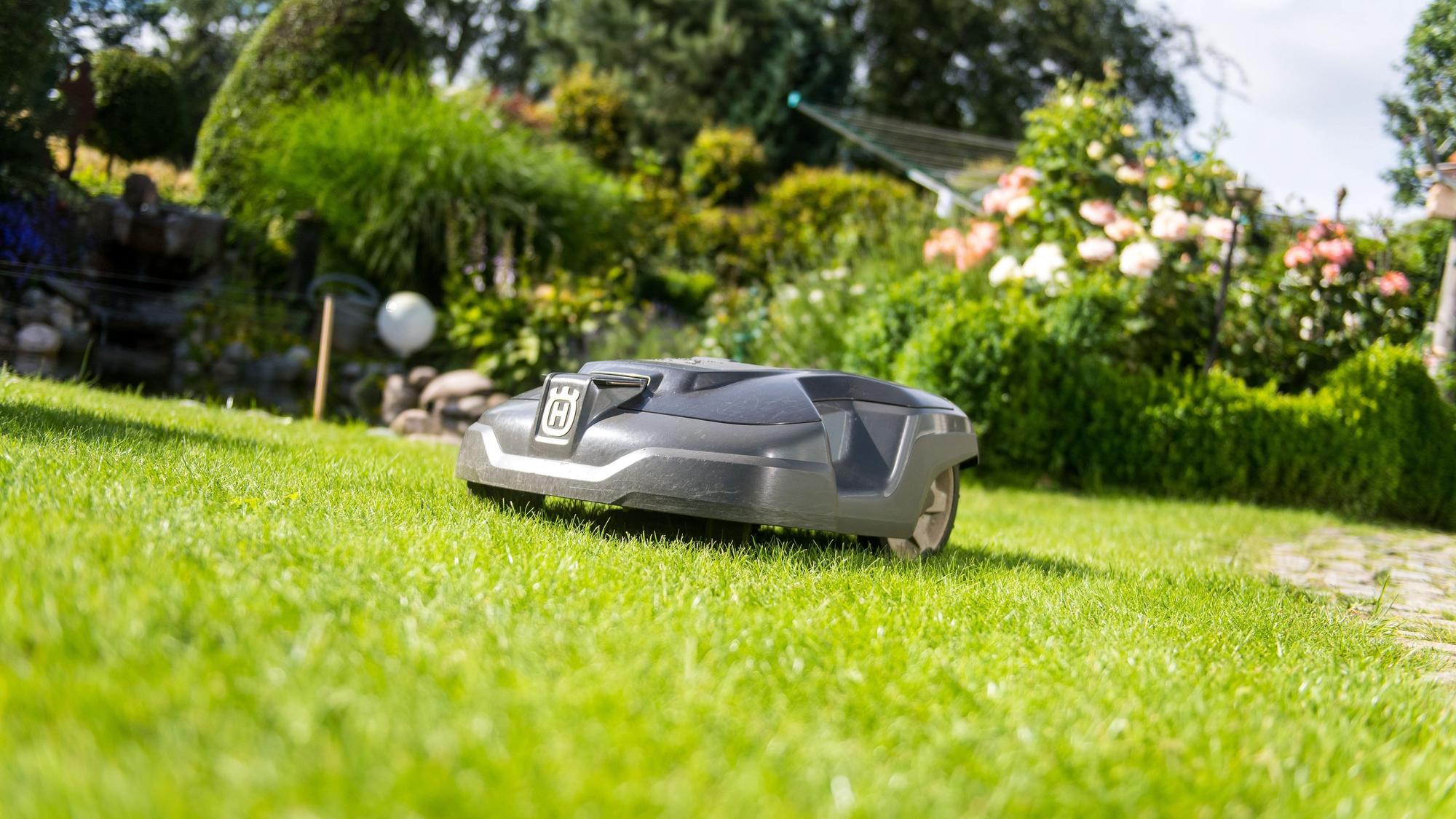 Mähroboter stellen eine Gefahr für Igel und weitere Wildtiere dar. (Symbolbild)