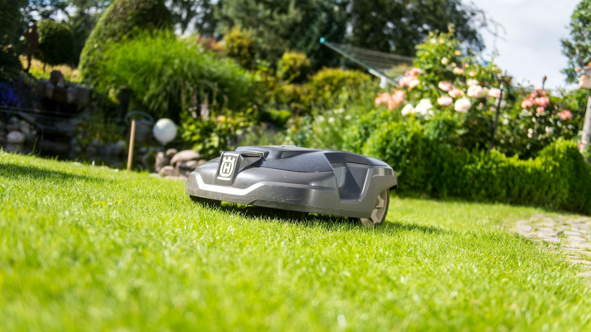 Mähroboter stellen eine Gefahr für Igel und weitere Wildtiere dar. (Symbolbild)