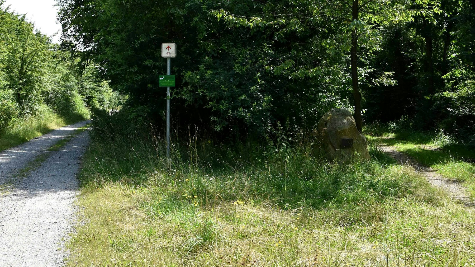 Ein Waldweg in Bedburg.