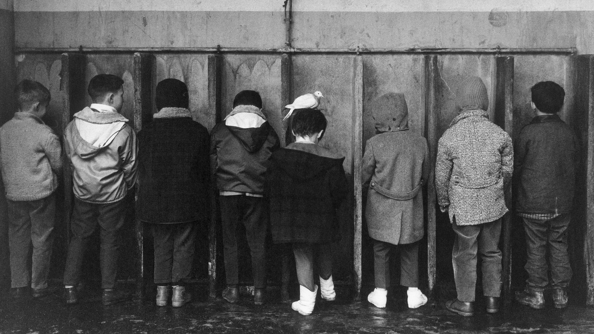 Kinder stehen aufgereiht an einer Wand. Auf dem Kopf eines Jungen sitzt ein Vogel.