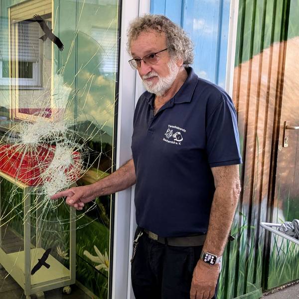 Reiner Bauer, Chef des Kreistierheims in Mechernich, zeigt Beschädigungen an einer Glastür, die bei einem Einbruch von einem Unbekannten verursacht wurden.