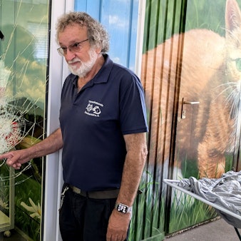 Reiner Bauer, Chef des Kreistierheims in Mechernich, zeigt Beschädigungen an einer Glastür, die bei einem Einbruch von einem Unbekannten verursacht wurden.