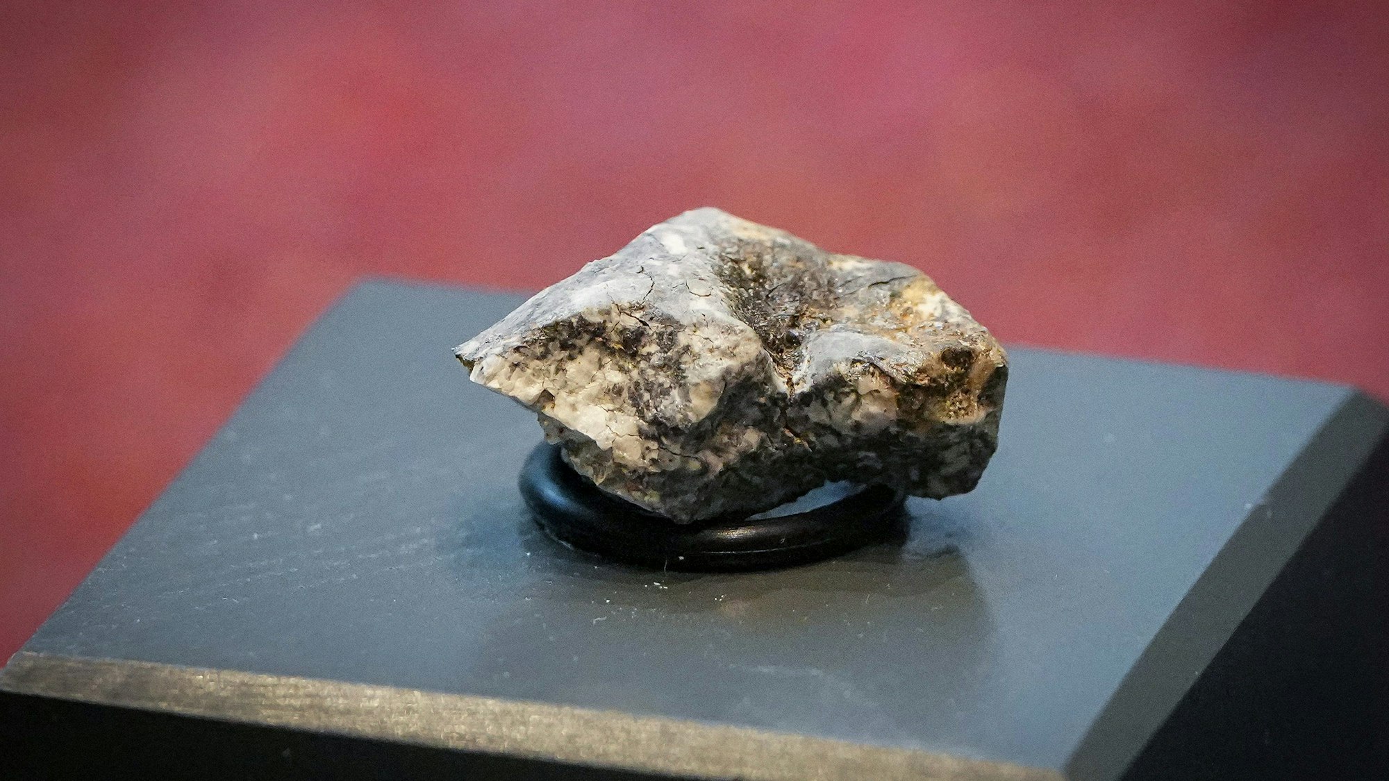Eines der nahe dem brandenburgischen Ribbeck gefundenen Bruchstücke eines Meteoriten liegt im Mineraliensaal des Museums für Naturkunde in einer Glasvitrine.