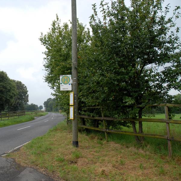 Die Bushaltestelle Mellerhöfe I steht an einer Straße, festgemacht an einer Straßenlaterne in Erftstadt. Um sie herum ist ländlicher Betrieb mit eingezäunten Weiden samt Kühen.