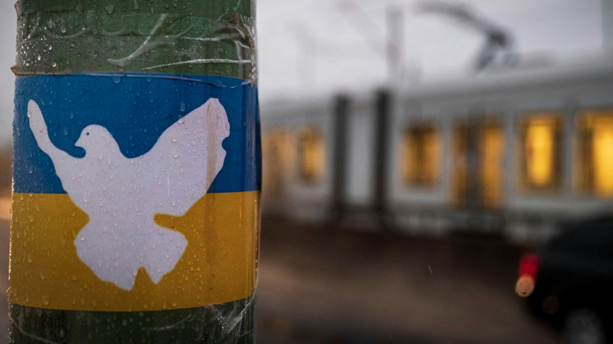 Zu sehen ist ein Aufkleber mit einer weiße Friedenstaube auf Ukrainischer Flagge an einem Laternenmast. Im Hintergrund ist eine Stadtbahn der Kölner Verkehrs-Betriebe zu sehen.