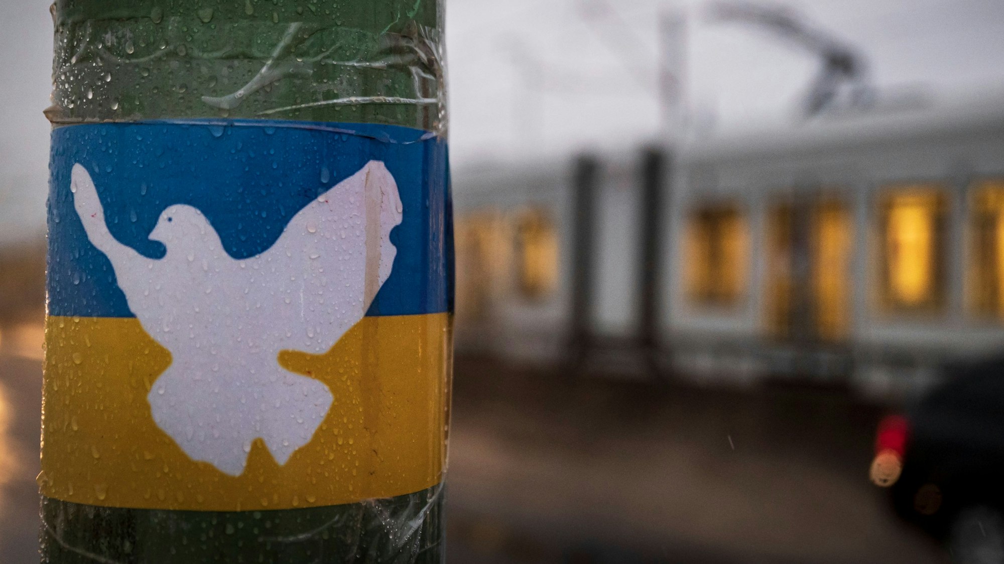 Zu sehen ist eine weiße Friedenstaube auf einer ukrainischen Flagge, die an einem Laternenmast klebt. Im Hintergrund fährt ein Stadtbahn der KVB.