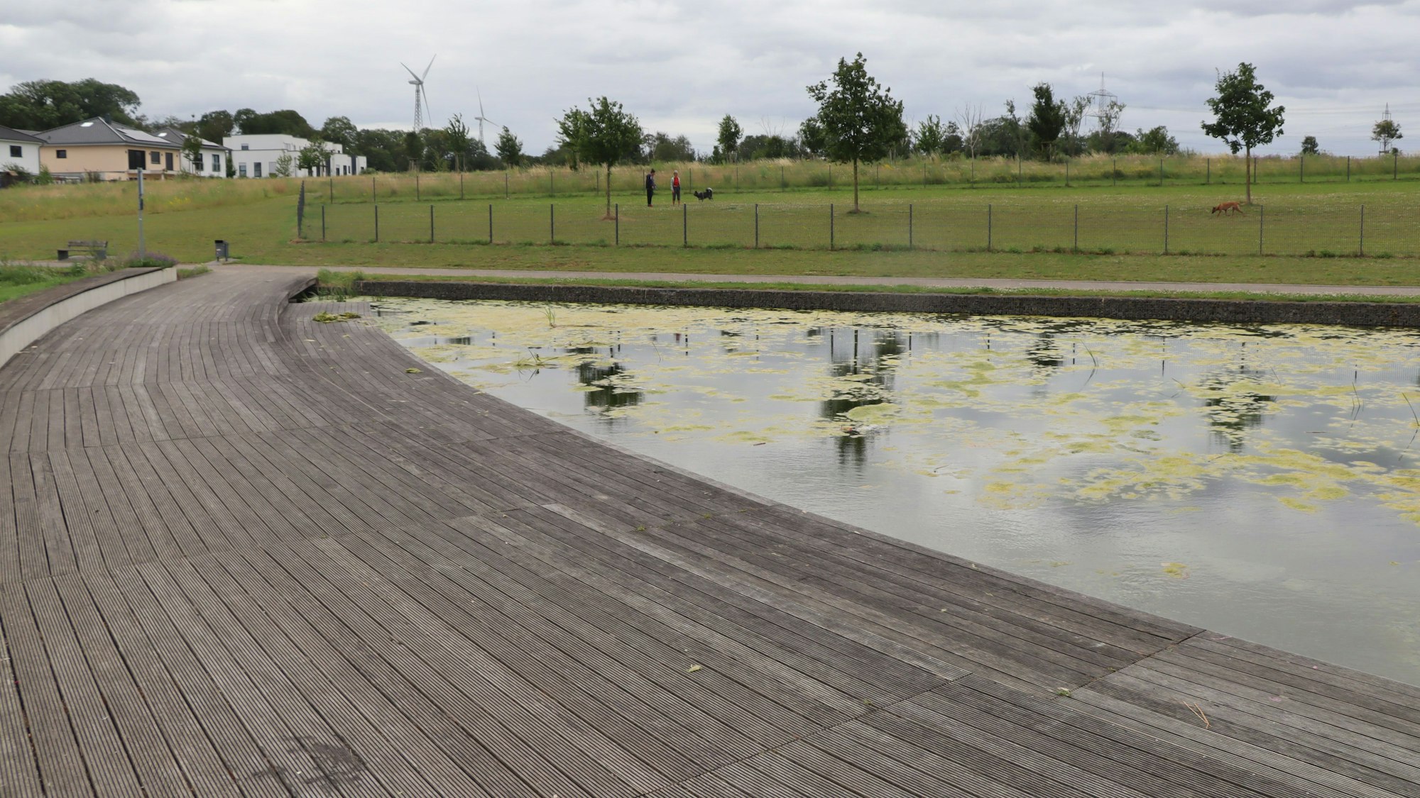 Hölzerne Stufen vor einem künstlich angelegten Teich.