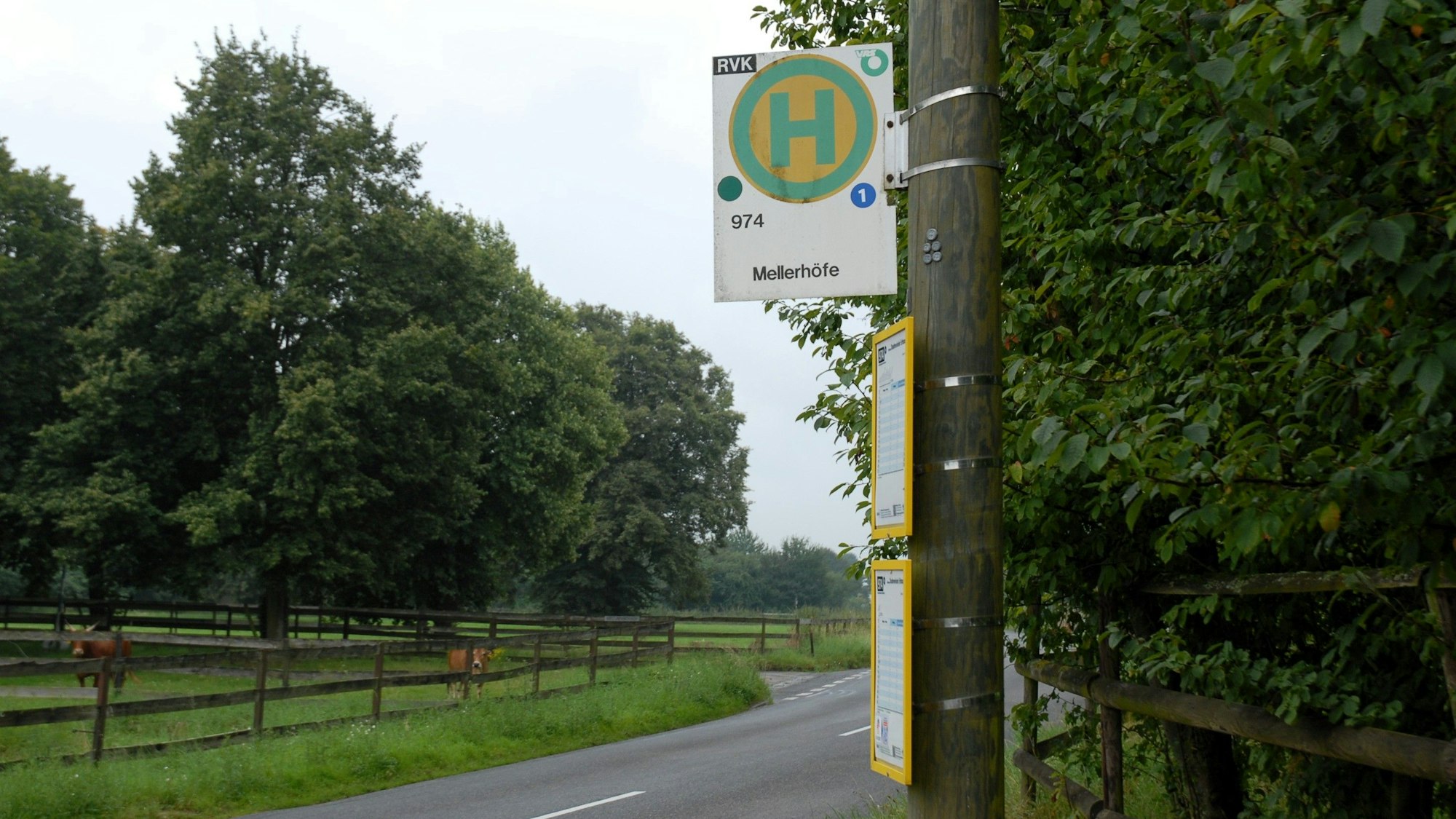 Die Bushaltestelle Mellerhöfe I steht an einer Straße, festgemacht an einer Straßenlaterne in Erftstadt. Um sie herum ist ländlicher Betrieb mit eingezäunten Weiden samt Kühen.