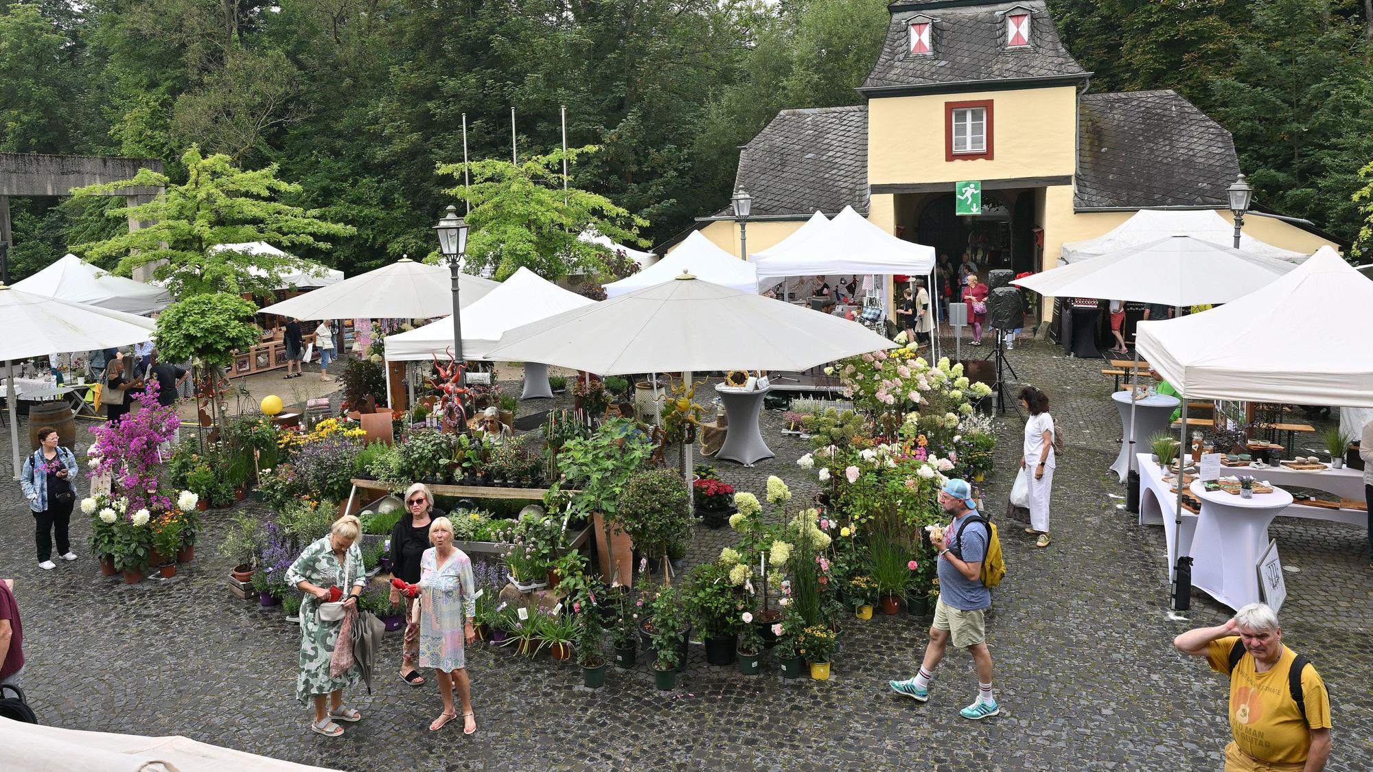 In schönster Blüte standen pünktlich zur „Schlosspartie“ die Rosen, der Gartenbaubetrieb „Garten begeistert“ dekorierte den Schlosshof.
