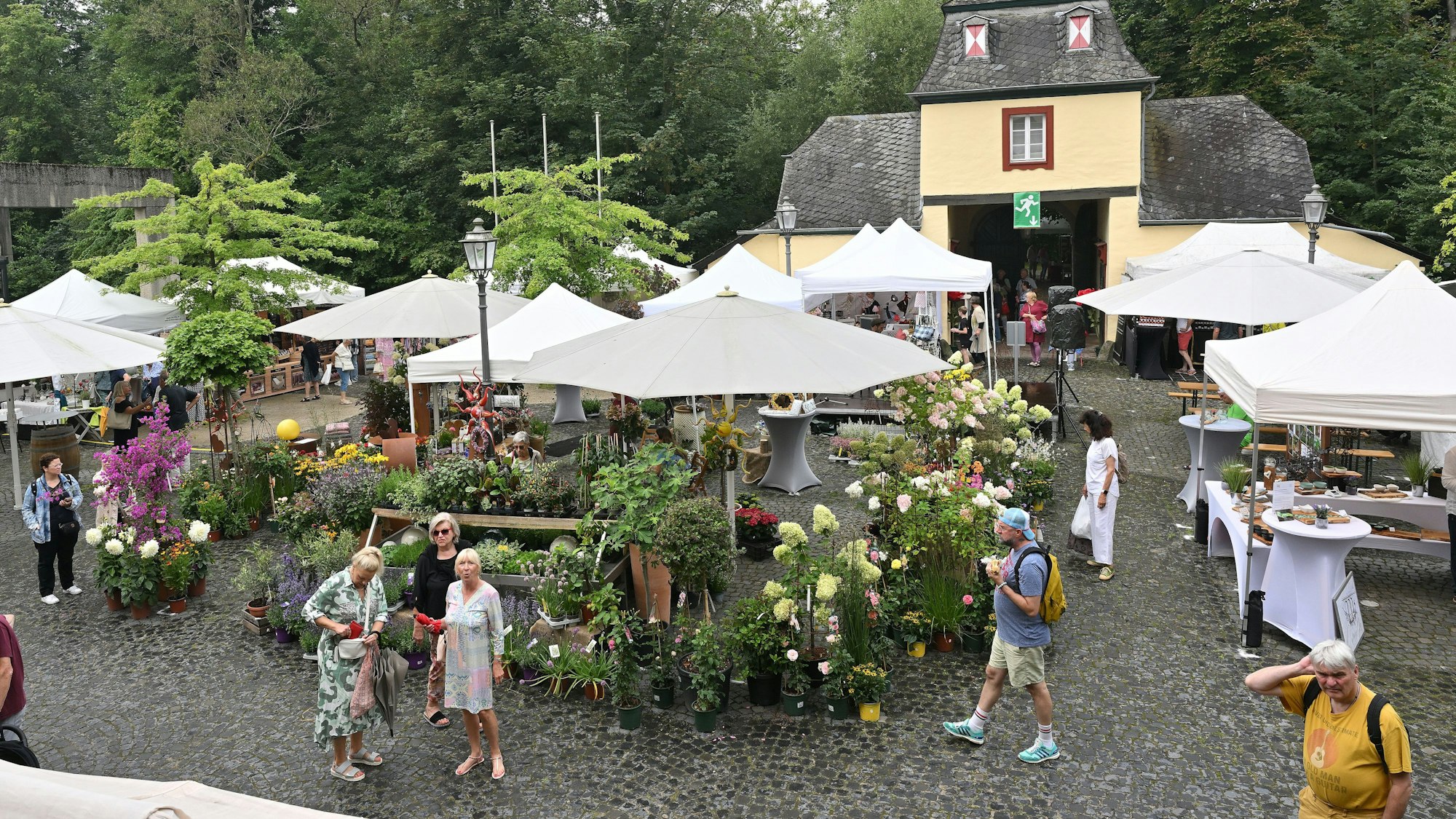 In schönster Blüte standen pünktlich zur „Schlosspartie“ die Rosen, der Gartenbaubetrieb „Garten begeistert“ dekorierte den Schlosshof.