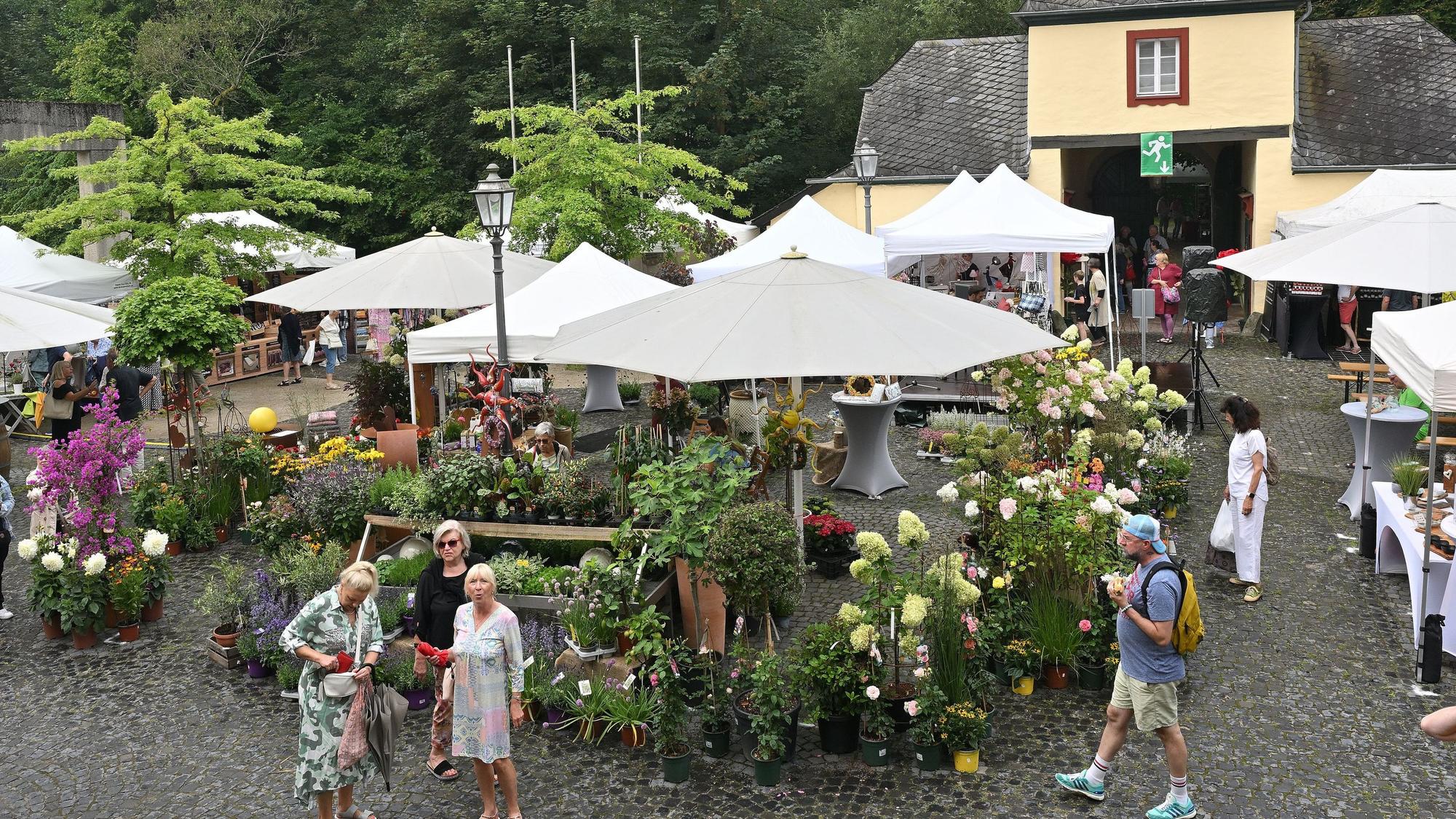 Große weiße Schirme, darunter Blumen und Grünpflanzen in Kübeln, im Hintergrund ein Torbogen