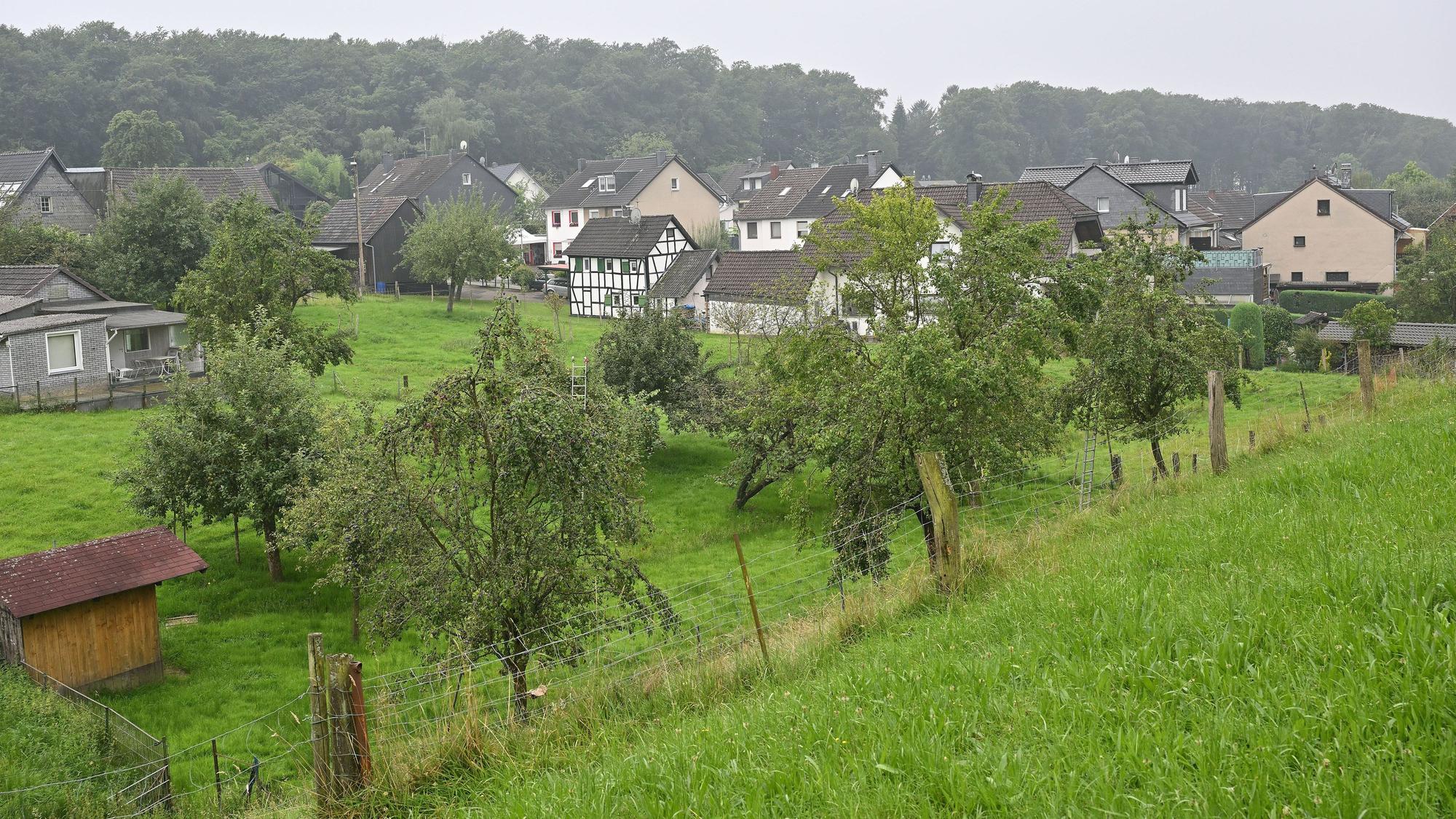 Im Tal des oberen Mutzbachs liegt die Streuobstwiese von Andreas Thomas. Im Hintergrund: der Ort Unterboschbach.
