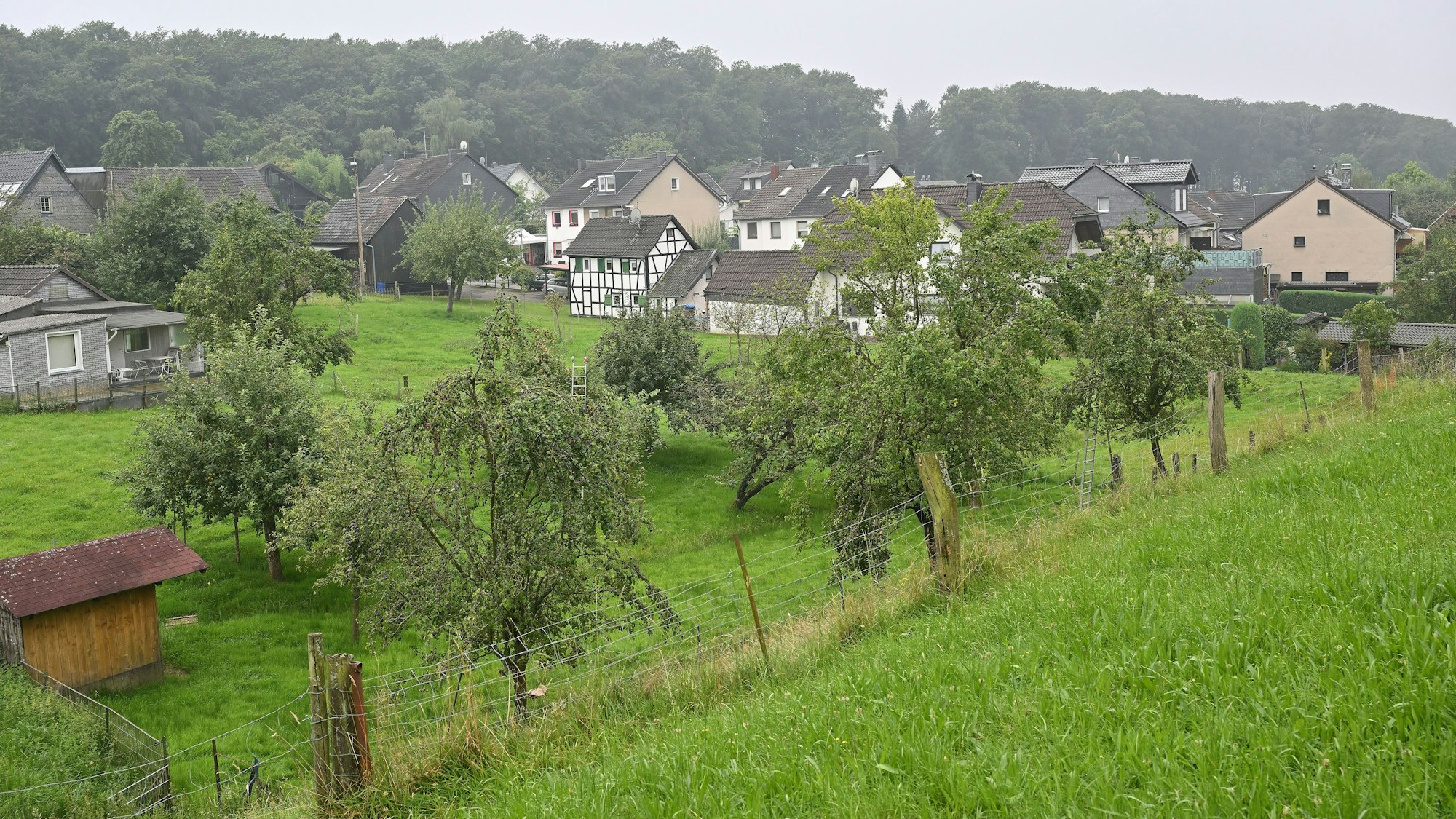 Im Tal des oberen Mutzbachs liegt die Streuobstwiese von Andreas Thomas. Im Hintergrund: der Ort Unterboschbach.