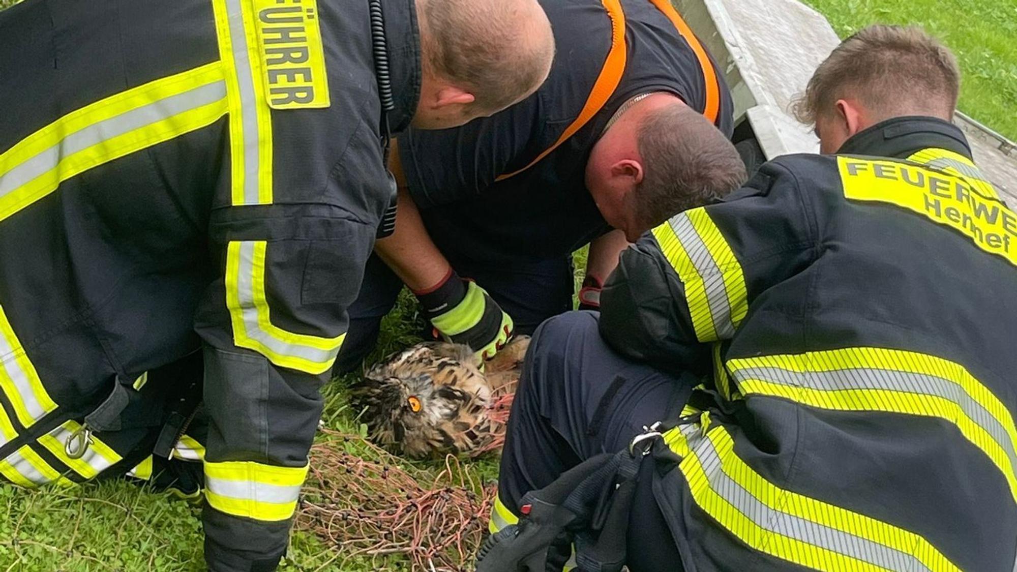 Eine Uhu retteten fünf Mitglieder der Hennefer Feuerwehr.
