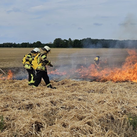 Feuerwehrleute stehen auf einem Strohfeld und löschen die Flammen eines Brandes.