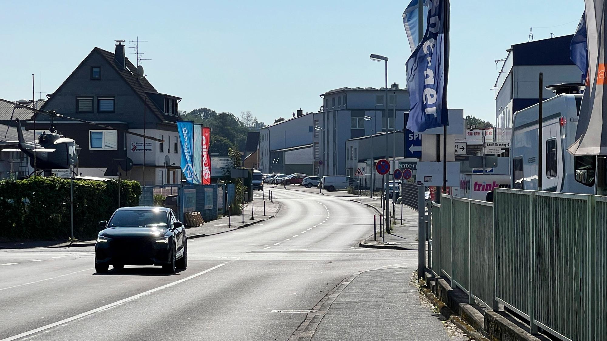 Kühl bleibt es nur unter Bäumen. Wo die Stadt versiegelt ist und keine Bäume stehen, wird es heiß.