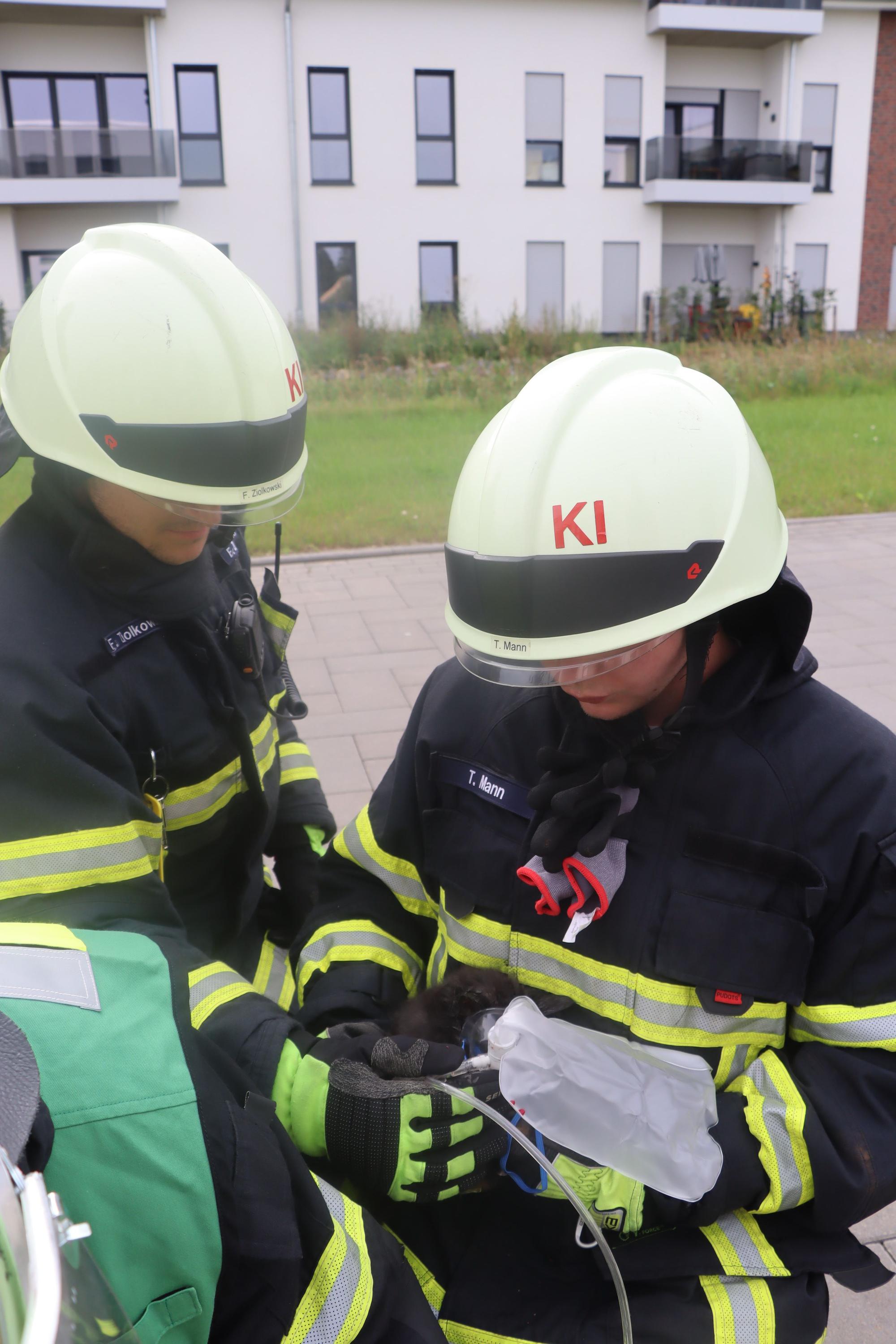 Feuerwehrleute versorgen eine Katze mit Sauerstoff.