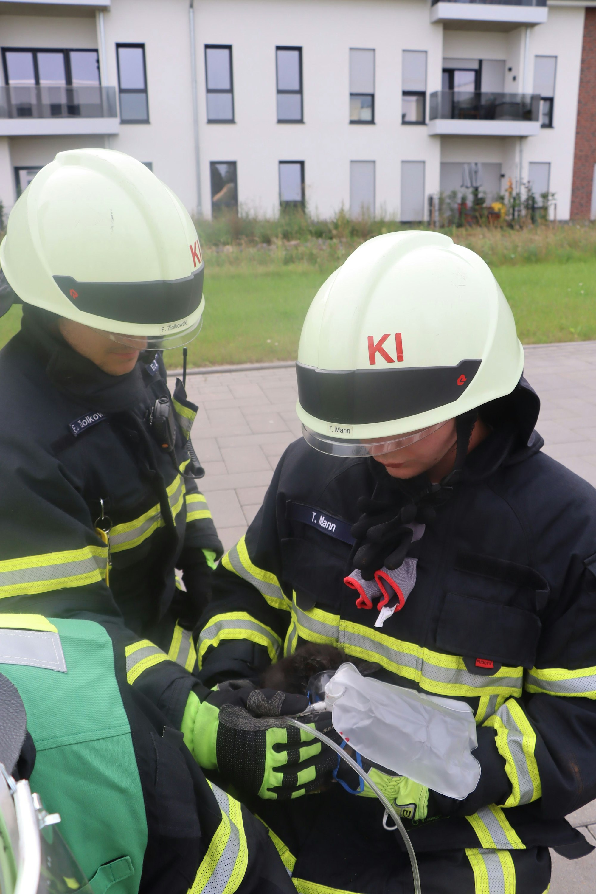 Feuerwehrleute versorgen eine Katze mit Sauerstoff.