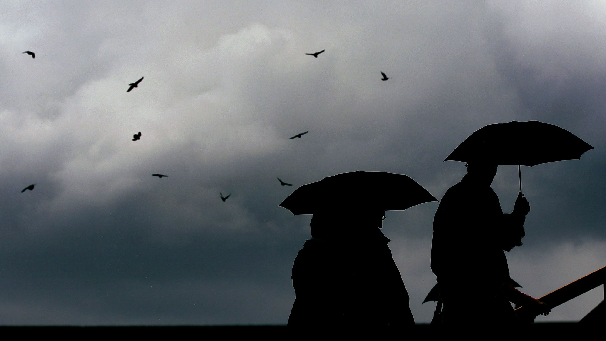 ARCHIV - 23.06.2011, Nordrhein-Westfalen, Köln: Passanten gehen mit Regenschirmen durch eine Stadt. (zu dpa: «Vereinzelte Schauer und Gewitter in MV») Foto: Oliver Berg/dpa +++ dpa-Bildfunk +++
