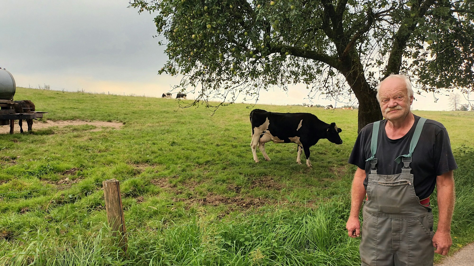 Ein Mann auf einer Kuhweide