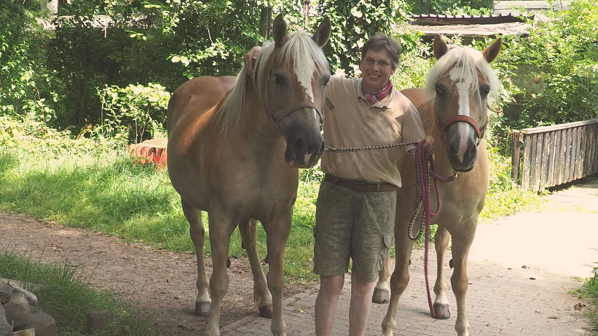 Helga Lagier steht zwischen zwei Pferden, Haflingern mit blonden Mähnen.