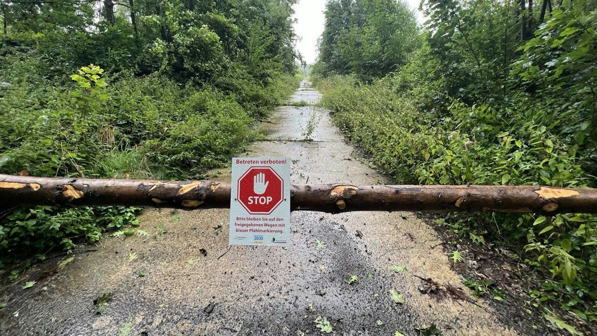 Eine Schranke versperrt den Weg zu den Monitionsdepots im „Camp Hitfeld“.
