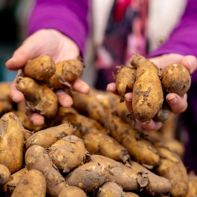 Eine Verkäuferin greift an einem Obst- und Gemüsestand auf dem Wochenmarkt in eine Kiste mit Kartoffeln.