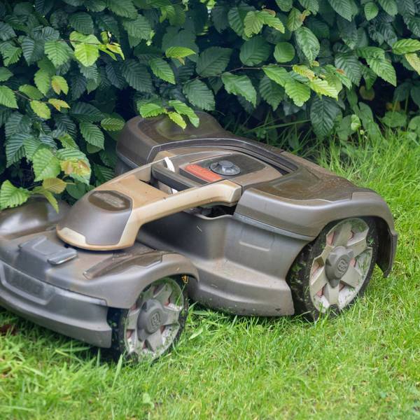 Ein Mähroboter mäht Gras in einem Garten.