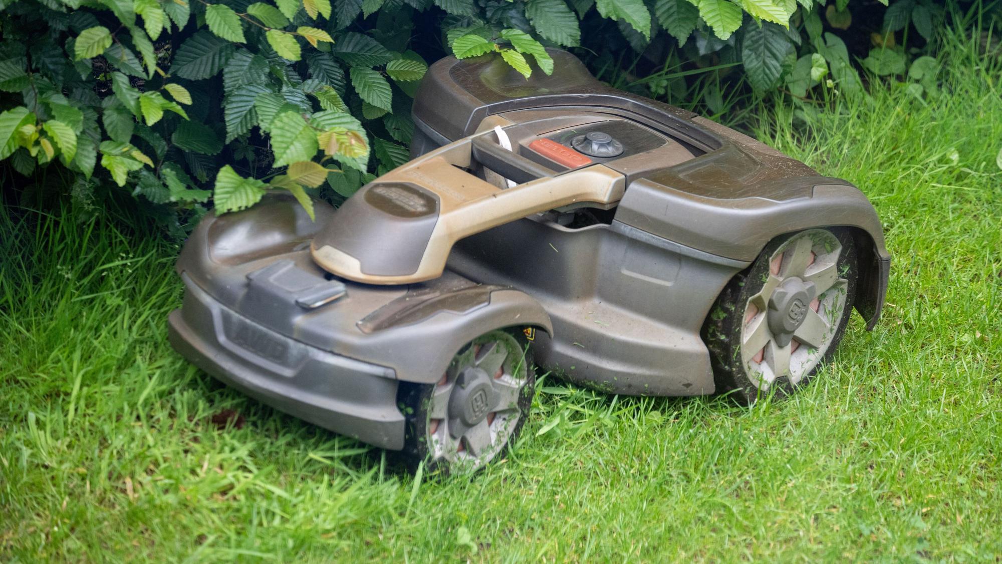 Ein Mähroboter mäht Gras in einem Garten.