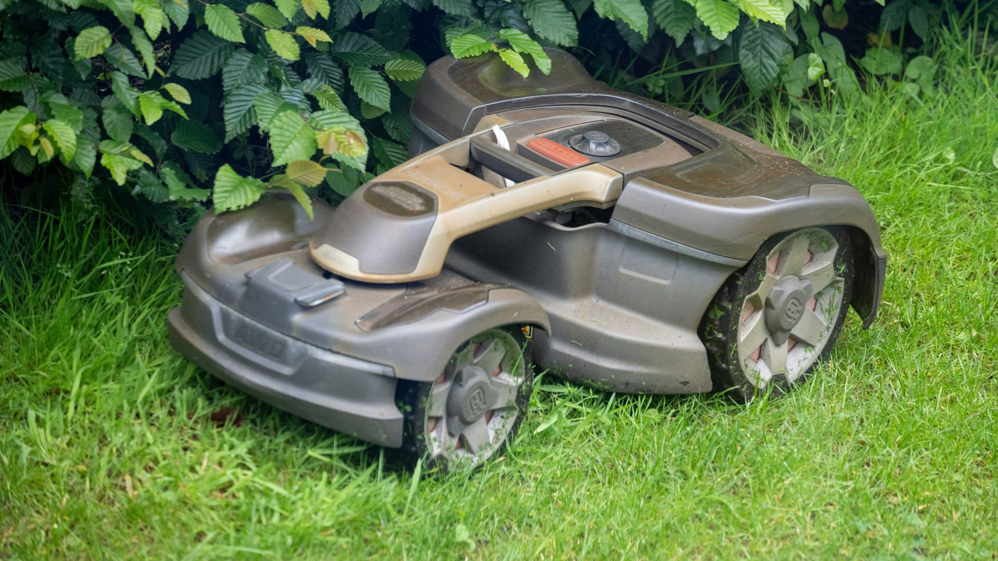 Ein Mähroboter mäht Gras in einem Garten.