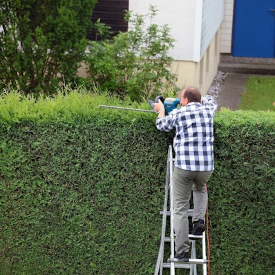 Ein Mann schneidet eine Hecke im Garten. (Symbolbild)