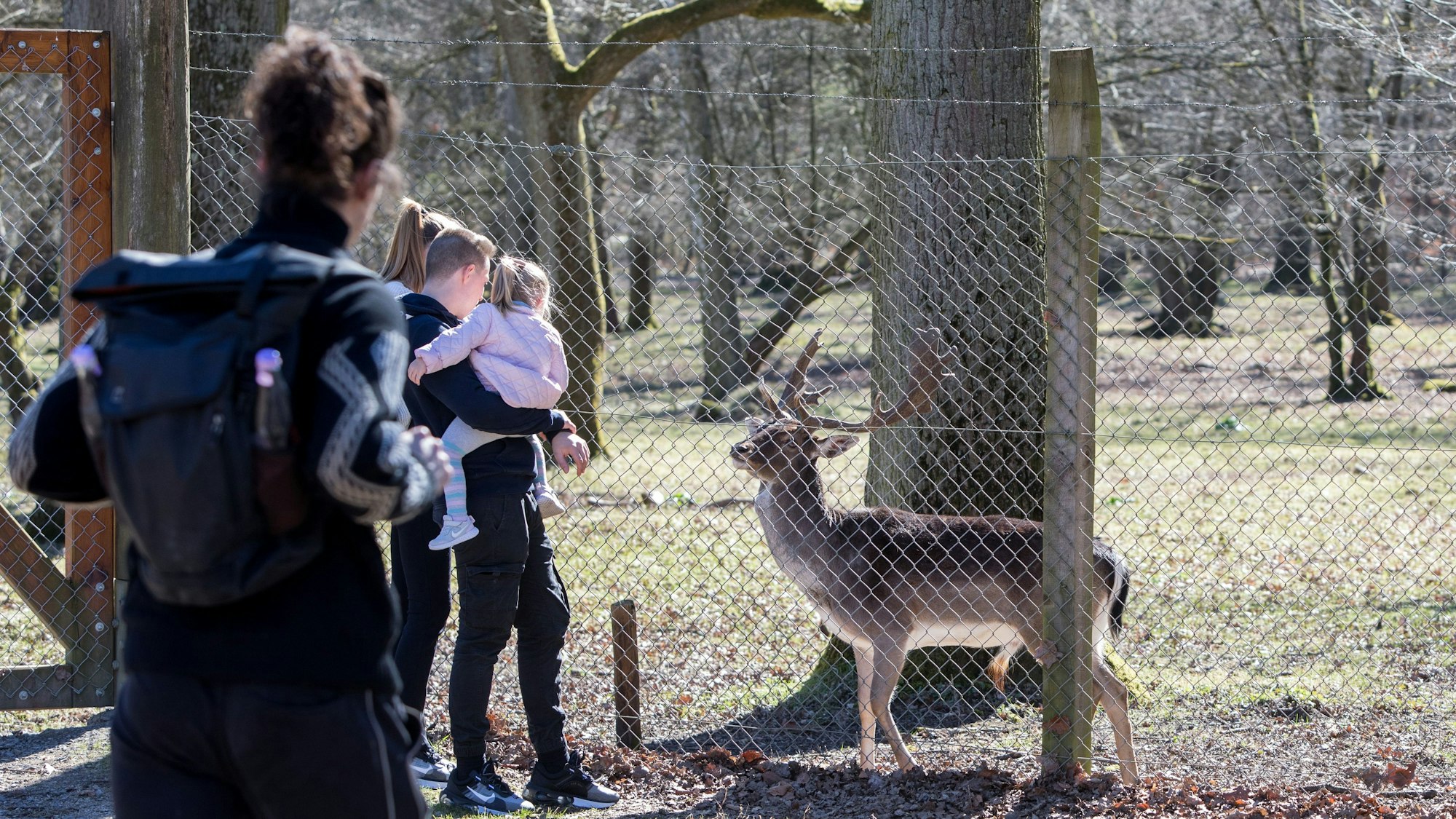 Der Wildpark Dünnwald ist ein beliebtes Ausflugsziel in Köln.